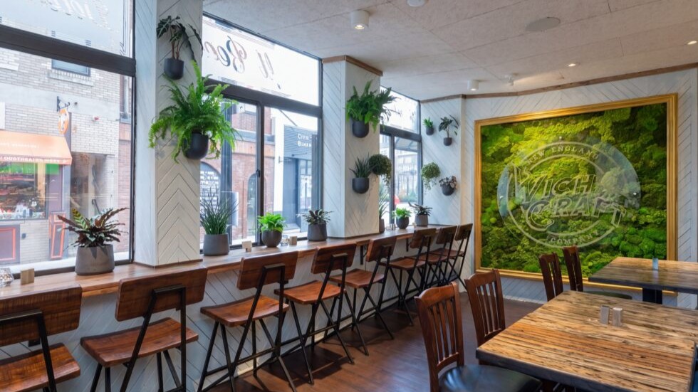 Warm café-style interior with window bar seating, wood stools and tables, hanging greenery, and a statement moss wall creating a cozy, biophilic dining atmosphere